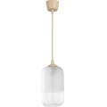 Brilagi - LED luster na sajli RETRO GLASS 1xE27/60W/230V pr. 14 cm bež/bijela