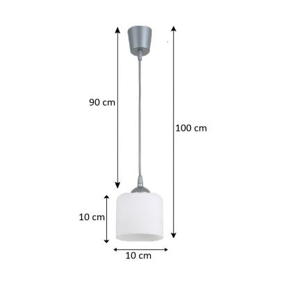Brilagi - LED luster na sajli RETRO GLASS 1xE27/60W/230V promjer 10 cm srebran/bijel