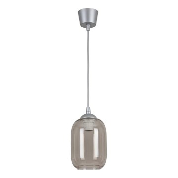 Brilagi - LED luster na sajli RETRO GLASS 1xE27/60W/230V Ø 14 cm srebrna/dimno siva