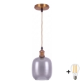 BRILAGI - LED luster na sajli RETRO GLASS 1xE27/60W/230V Ø 14 cm zlatna/zadimljeno siva