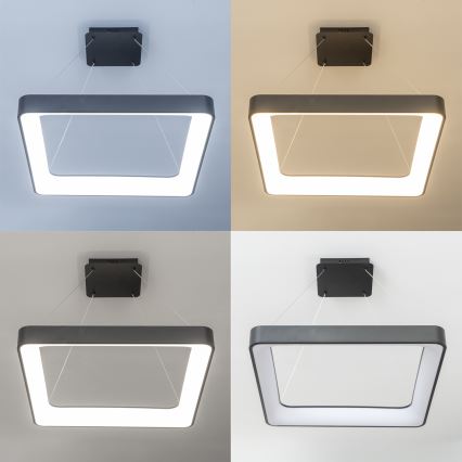 Brilagi - LED luster s mogućnošću prigušivanja na sajli FALCON II LED/125W/230V 3000-6500K 60x60 cm crni + daljinski upravljač