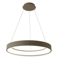 BRILAGI - LED luster na sajli s mogućnošću prigušivanja FALCON II LED/99W/230V 3000-6500K Ø 60 cm bež + daljinski upravljač