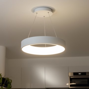 Brilagi - LED luster na sajli s mogućnošću prigušivanja FALCON LED/80W/230V 3000-6500K Ø 60 cm bijela + daljinski upravljač