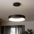 Brilagi - LED luster na sajli s mogućnošću prigušivanja FALCON LED/80W/230V 3000-6500K Ø 60 cm crna + daljinski upravljač