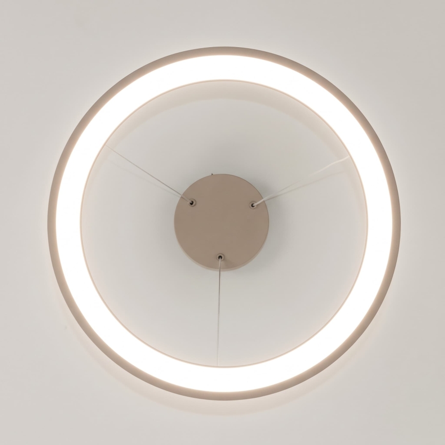 BRILAGI - LED luster s mogućnošću prigušivanja na sajli FALCON SLIM LED/42W/230V 3000-6500K Ø 50 cm bež + daljinski upravljač