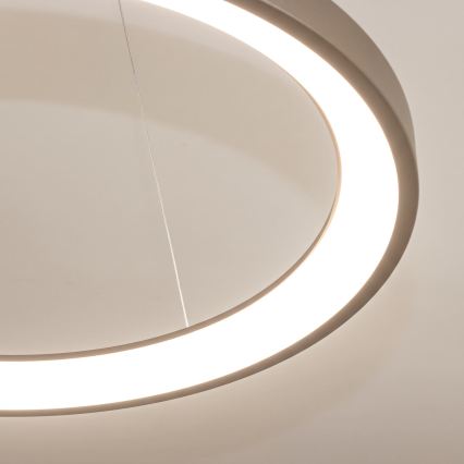 BRILAGI - LED luster s mogućnošću prigušivanja na sajli FALCON SLIM LED/42W/230V 3000-6500K Ø 50 cm bež + daljinski upravljač