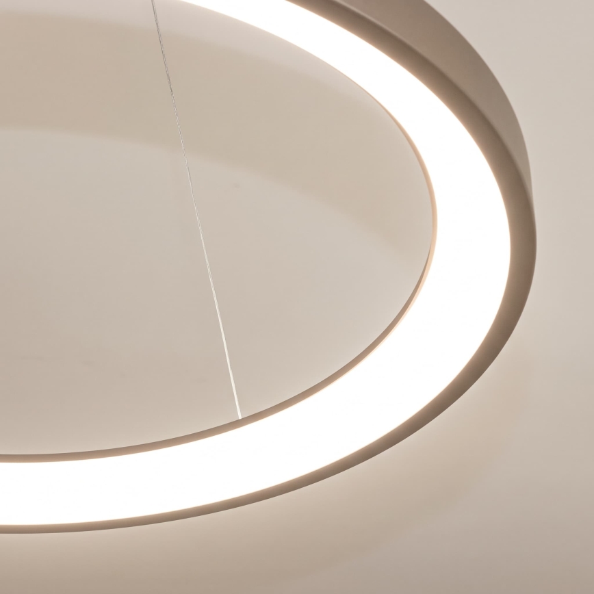 BRILAGI - LED luster s mogućnošću prigušivanja na sajli FALCON SLIM LED/42W/230V 3000-6500K Ø 50 cm bež + daljinski upravljač