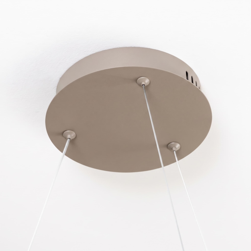 BRILAGI - LED luster s mogućnošću prigušivanja na sajli FALCON SLIM LED/42W/230V 3000-6500K Ø 50 cm bež + daljinski upravljač