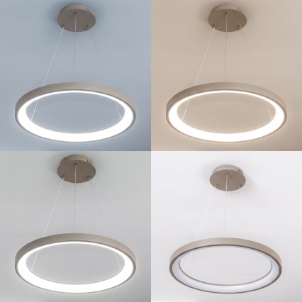 BRILAGI - LED luster s mogućnošću prigušivanja na sajli FALCON SLIM LED/42W/230V 3000-6500K Ø 50 cm bež + daljinski upravljač