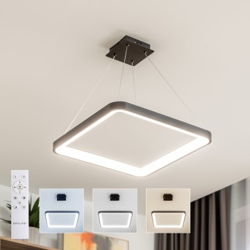 Brilagi - LED luster na sajli s mogućnošću prigušivanja FALCON SLIM LED/50W/230V 3000-6500K 50x50 cm crna + daljinski upravljač