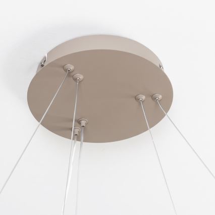 BRILAGI - LED luster na sajli FALCON SLIM LED/68W/230V 3000-6500K Ø 50 cm bež, s mogućnošću prigušivanja + daljinski upravljač