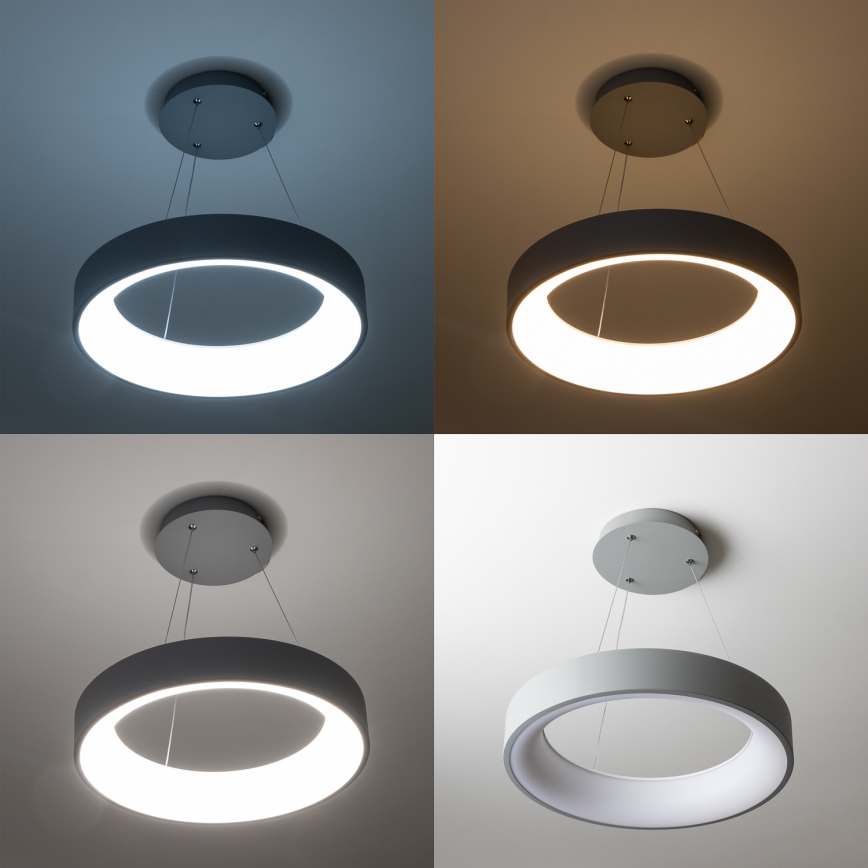 Brilagi - LED luster na sajli FALCON s mogućnošću prigušivanja, LED/40W/230V 3000-6500K pr. 45 cm siva + daljinsko upravljanje