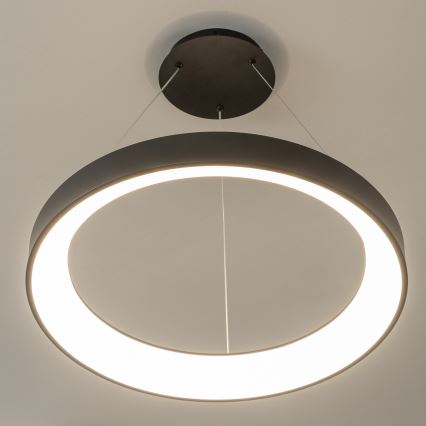 Brilagi - LED luster s mogućnošću prigušivanja na sajli FALCON II LED/99W/230V 3000-6500K Ø 60 cm crna + daljinsko upravljanje