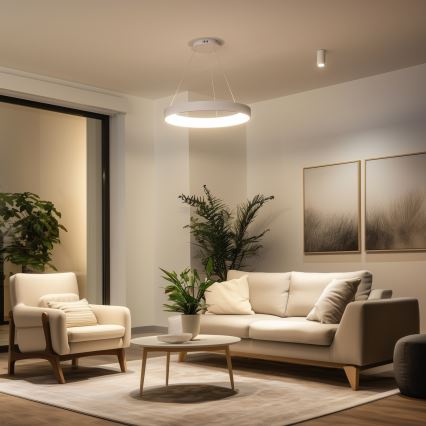 Brilagi - LED luster s mogućnošću prigušivanja na sajli FALCON II LED/99W/230V 3000-6500K Ø 60 cm bijela + daljinski upravljač