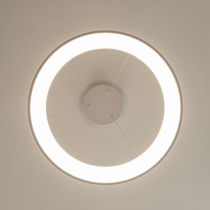 Brilagi - LED luster s mogućnošću prigušivanja na sajli FALCON II LED/99W/230V 3000-6500K Ø 60 cm bijela + daljinski upravljač
