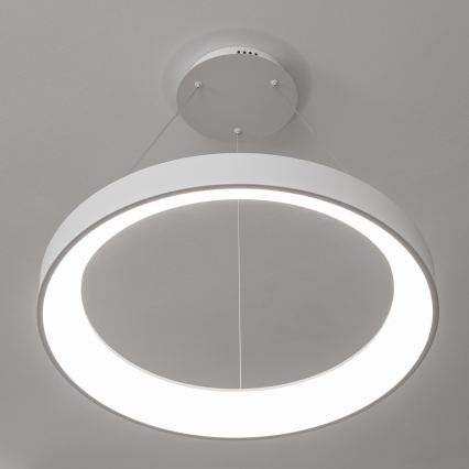 Brilagi - LED luster s mogućnošću prigušivanja na sajli FALCON II LED/99W/230V 3000-6500K Ø 60 cm bijela + daljinski upravljač