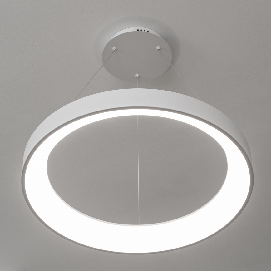 Brilagi - LED luster s mogućnošću prigušivanja na sajli FALCON II LED/99W/230V 3000-6500K Ø 60 cm bijela + daljinski upravljač