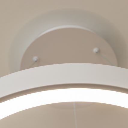 Brilagi - LED luster s mogućnošću prigušivanja na sajli FALCON II LED/99W/230V 3000-6500K Ø 60 cm bijela + daljinski upravljač