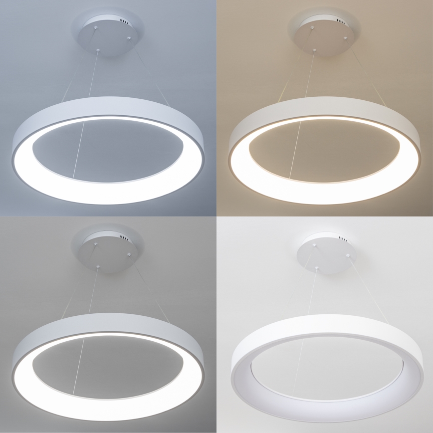 Brilagi - LED luster s mogućnošću prigušivanja na sajli FALCON II LED/99W/230V 3000-6500K Ø 60 cm bijela + daljinski upravljač