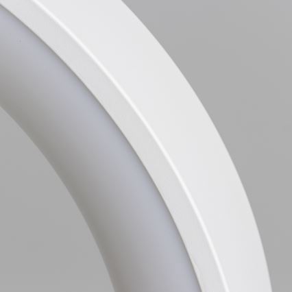 Brilagi - LED luster na sajli s mogućnošću prigušivanja FALCON LED/80W/230V 3000-6500K Ø 60 cm bijela + daljinski upravljač