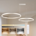 Brilagi - LED luster s mogućnošću prigušenja na sajli PORTOFINO LED/98W/230V 3000-6000K srebrni + s daljinskim upravljačem