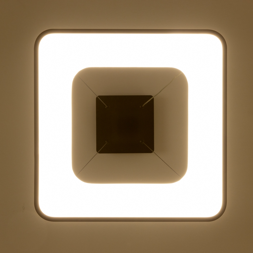 Brilagi - LED luster na sajli FALCON II s mogućnošću prigušivanja LED/80W/230V 3000-6500K 40x40 cm crna + daljinski upravljač