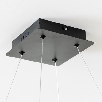 Brilagi - LED luster na sajli FALCON II s mogućnošću prigušivanja LED/80W/230V 3000-6500K 40x40 cm crna + daljinski upravljač