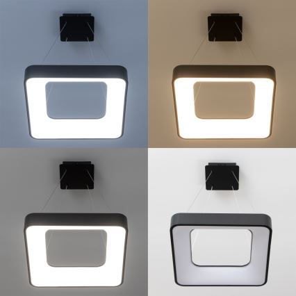 Brilagi - LED luster na sajli FALCON II s mogućnošću prigušivanja LED/80W/230V 3000-6500K 40x40 cm crna + daljinski upravljač