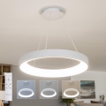 Brilagi - LED luster s mogućnošću prigušivanja na sajli FALCON II LED/99W/230V 3000-6500K Ø 60 cm bijela + daljinski upravljač