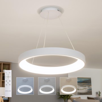 Brilagi - LED luster s mogućnošću prigušivanja na sajli FALCON II LED/99W/230V 3000-6500K Ø 60 cm bijela + daljinski upravljač