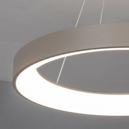 BRILAGI - LED luster na sajli s mogućnošću prigušivanja FALCON II LED/99W/230V 3000-6500K Ø 60 cm bež + daljinski upravljač