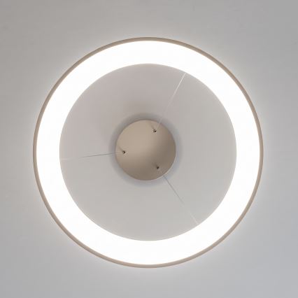 BRILAGI - LED luster na sajli s mogućnošću prigušivanja FALCON II LED/99W/230V 3000-6500K Ø 60 cm bež + daljinski upravljač