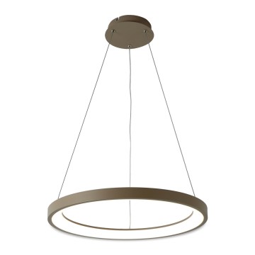 BRILAGI - LED luster s mogućnošću prigušivanja na sajli FALCON SLIM LED/42W/230V 3000-6500K Ø 50 cm bež + daljinski upravljač