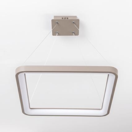 BRILAGI - LED prigušivi luster na lanku FALCON SLIM LED/50W/230V 3000-6500K 50x50 cm bež + daljinski upravljač