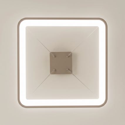 BRILAGI - LED prigušivi luster na lanku FALCON SLIM LED/50W/230V 3000-6500K 50x50 cm bež + daljinski upravljač