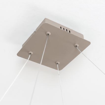BRILAGI - LED prigušivi luster na lanku FALCON SLIM LED/50W/230V 3000-6500K 50x50 cm bež + daljinski upravljač