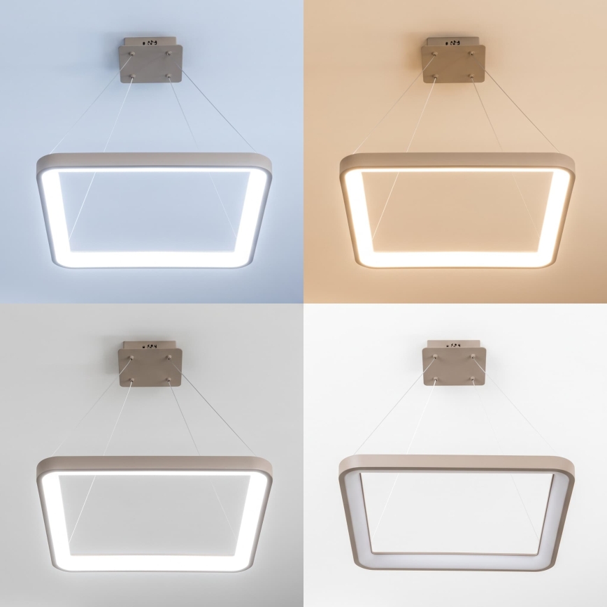 BRILAGI - LED prigušivi luster na lanku FALCON SLIM LED/50W/230V 3000-6500K 50x50 cm bež + daljinski upravljač