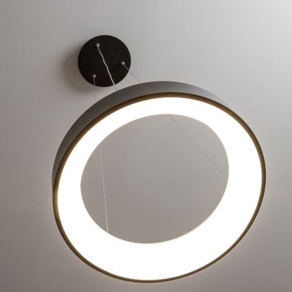 Brilagi - LED luster s prigušivanjem na sajli FALCON LED/40W/230V 3000-6500K Ø 45 cm crna + daljinski upravljač