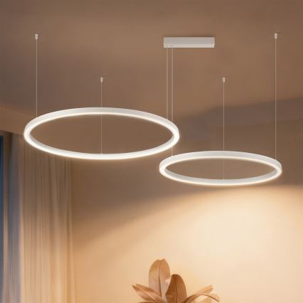 Brilagi - PORTOFINO LED luster na sajli s mogućnošću prigušivanja LED/98W/230V 3000-6000K bijela + daljinski upravljač