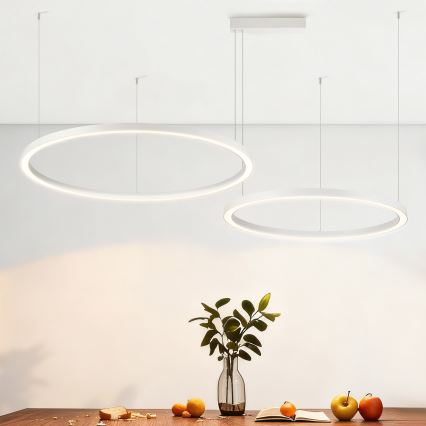 Brilagi - PORTOFINO LED luster na sajli s mogućnošću prigušivanja LED/98W/230V 3000-6000K bijela + daljinski upravljač