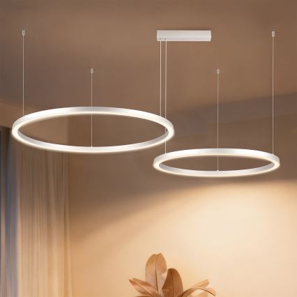 Brilagi - LED luster s mogućnošću prigušenja na sajli PORTOFINO LED/98W/230V 3000-6000K srebrni + s daljinskim upravljačem