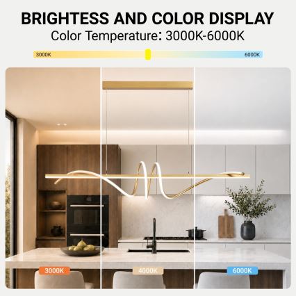 BRILAGI - LED luster s mogućnošću prigušivanja na sajli SIGNATURE LED/50W/230V 3000-6000K 120 cm zlatna + daljinsko upravljanje