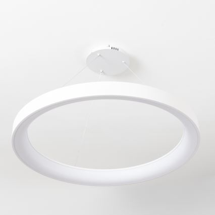 Brilagi - LED luster s mogućnošću prigušivanja na sajli FALCON II LED/108W/230V 3000-6500K Ø 80 cm bijela + daljinski upravljač