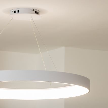 Brilagi - LED luster s mogućnošću prigušivanja na sajli FALCON II LED/108W/230V 3000-6500K Ø 80 cm bijela + daljinski upravljač