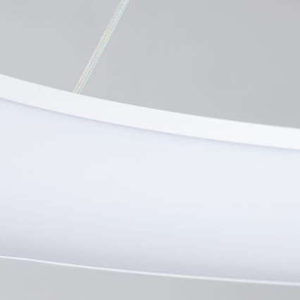 Brilagi - LED luster s mogućnošću prigušivanja na sajli FALCON II LED/108W/230V 3000-6500K Ø 80 cm bijela + daljinski upravljač