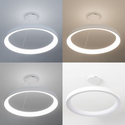 Brilagi - LED luster s mogućnošću prigušivanja na sajli FALCON II LED/108W/230V 3000-6500K Ø 80 cm bijela + daljinski upravljač