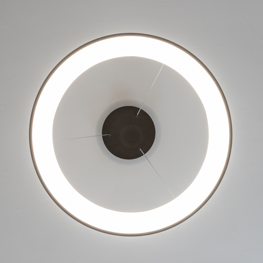 Brilagi - LED luster s mogućnošću prigušivanja na sajli FALCON II LED/99W/230V 3000-6500K promjer 60 cm crna + daljinski upravljač