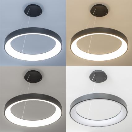 Brilagi - LED luster s mogućnošću prigušivanja na sajli FALCON II LED/99W/230V 3000-6500K promjer 60 cm crna + daljinski upravljač