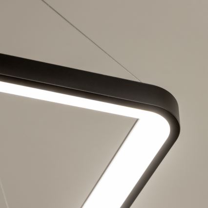 Brilagi - LED luster na sajli s mogućnošću prigušivanja FALCON SLIM LED/50W/230V 3000-6500K 50x50 cm crna + daljinski upravljač