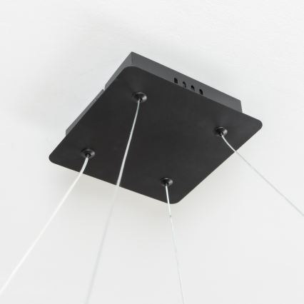 Brilagi - LED luster na sajli s mogućnošću prigušivanja FALCON SLIM LED/50W/230V 3000-6500K 50x50 cm crna + daljinski upravljač